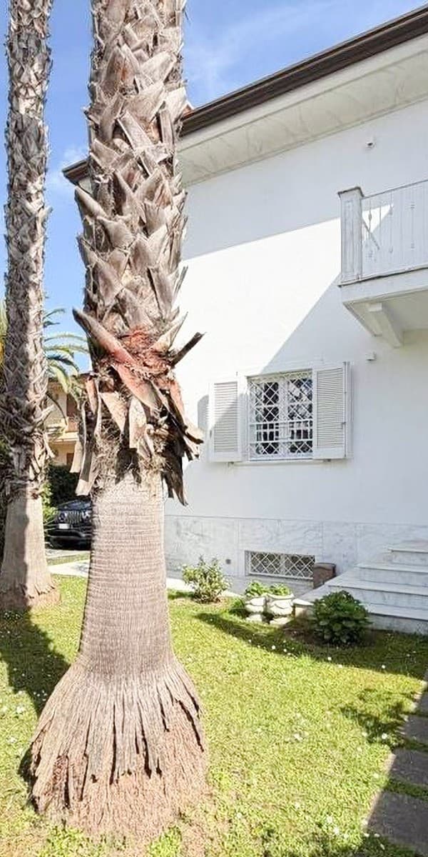 Charming Villa in Versilia, Camaiore, Tuscany