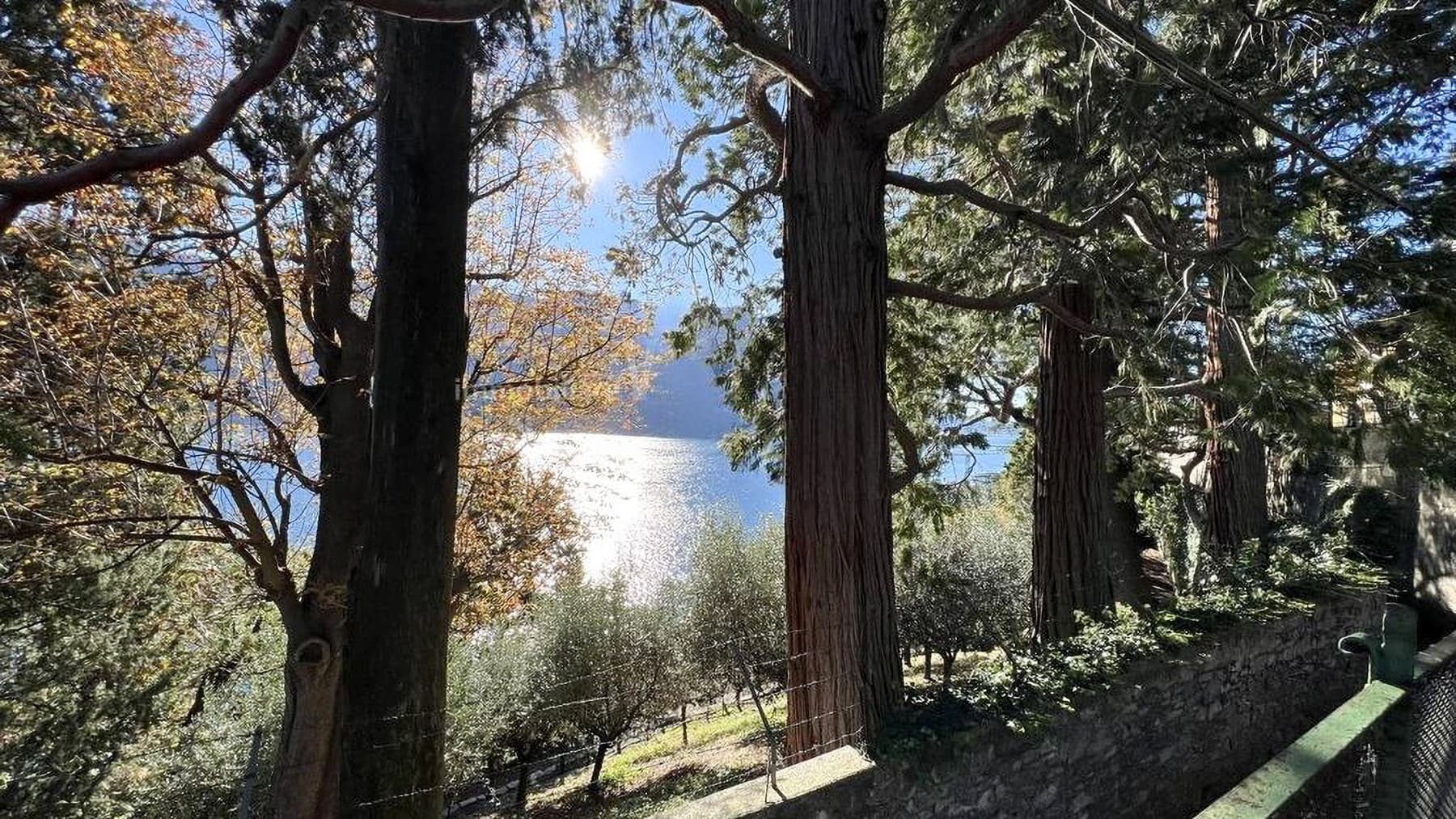 Charming Villa in Carate Urio, Lake Como Area