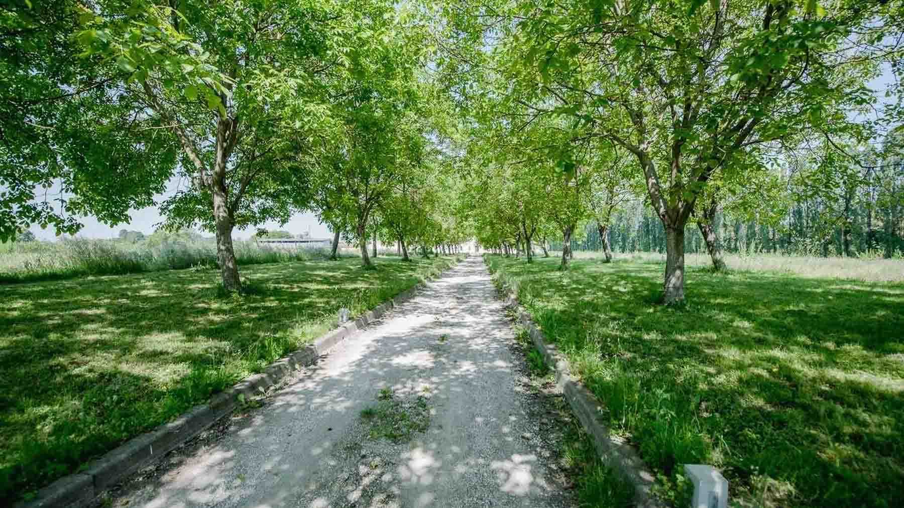 Charming Country House in Mantova, Lombardy