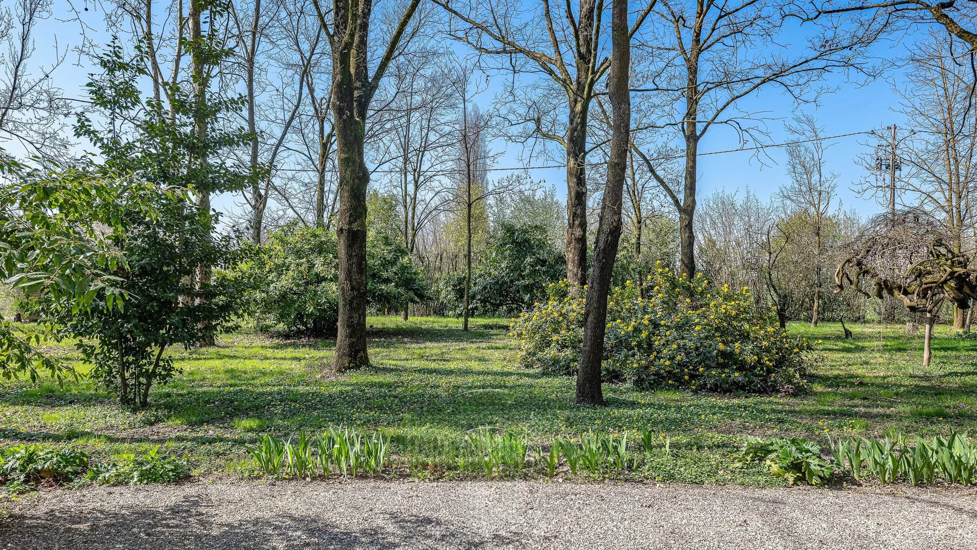 Villa storica nella campagna di Poviglio