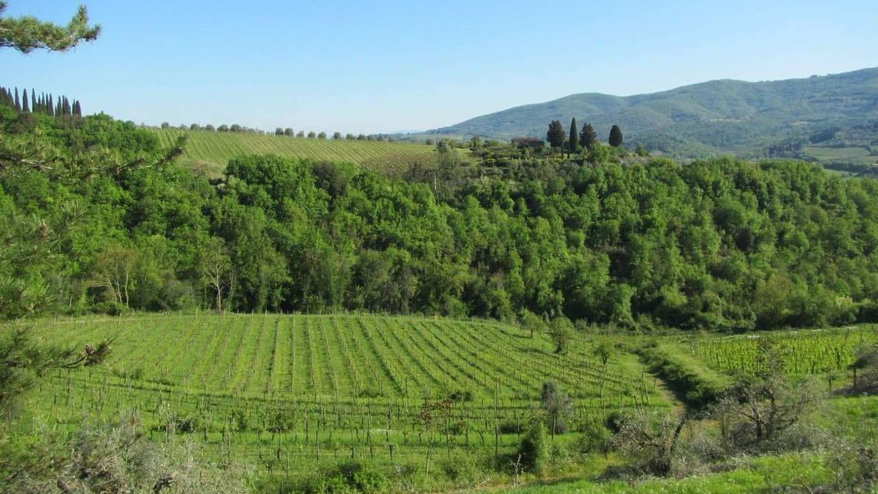 Casale con piscina e giardino a Montefioralle, Toscana