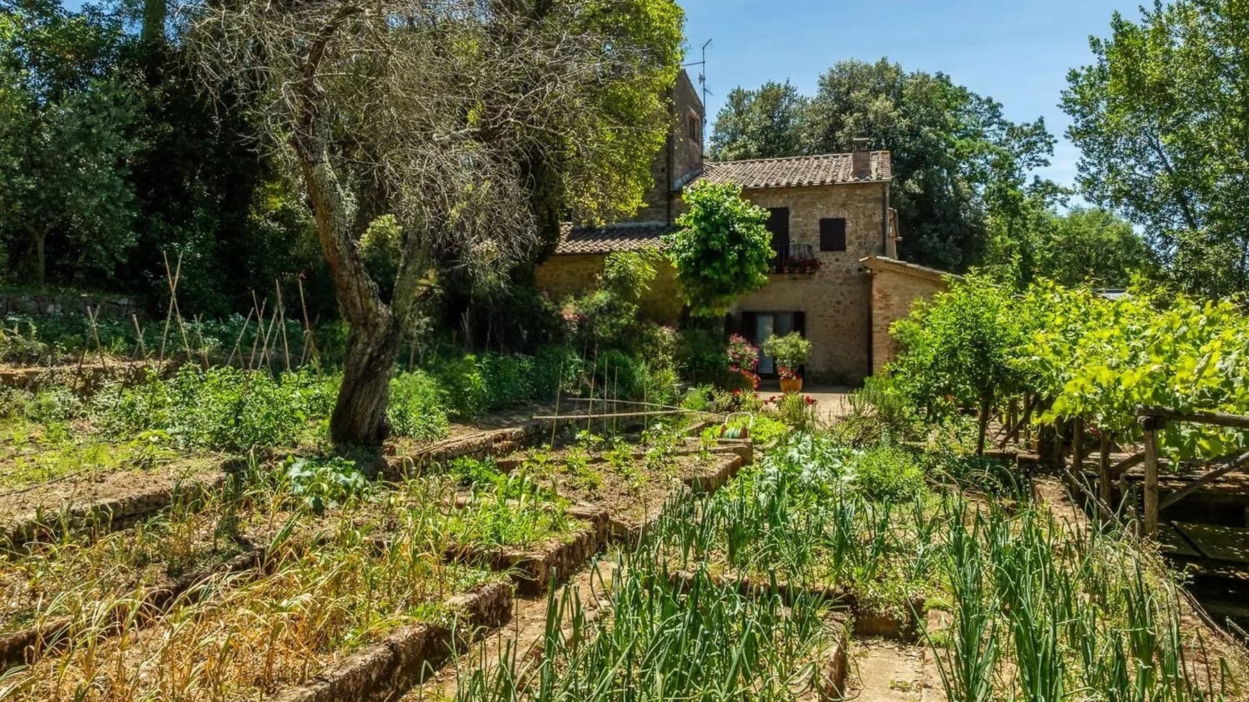 Casale in pietra a Pienza, Val d'Orcia con piscina