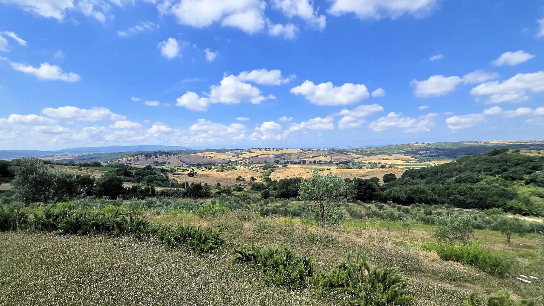 Villa contemporanea con ampio giardino a Magliano in Toscana