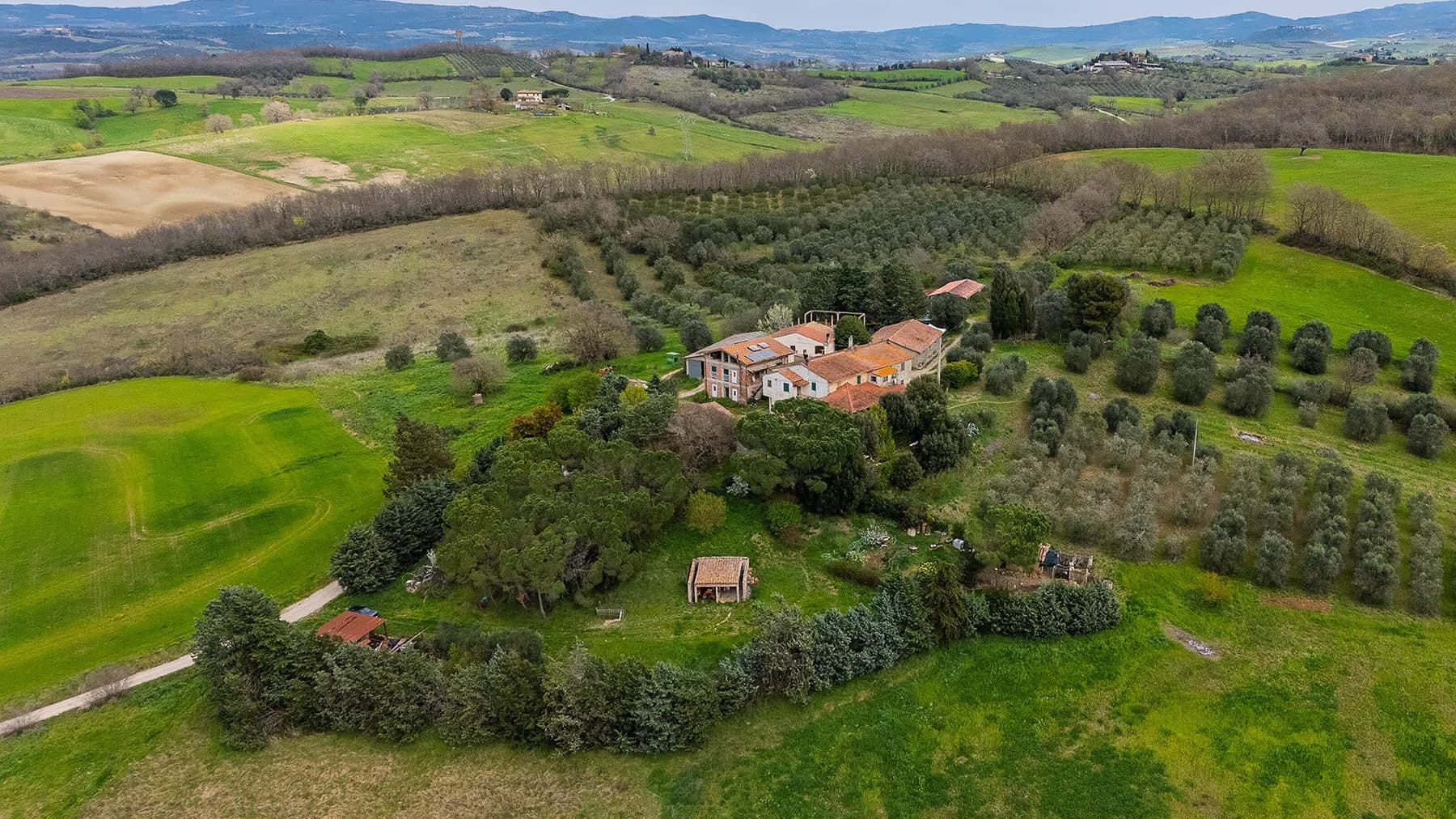 Spacious Estate-Complex in Cinigiano, Tuscany