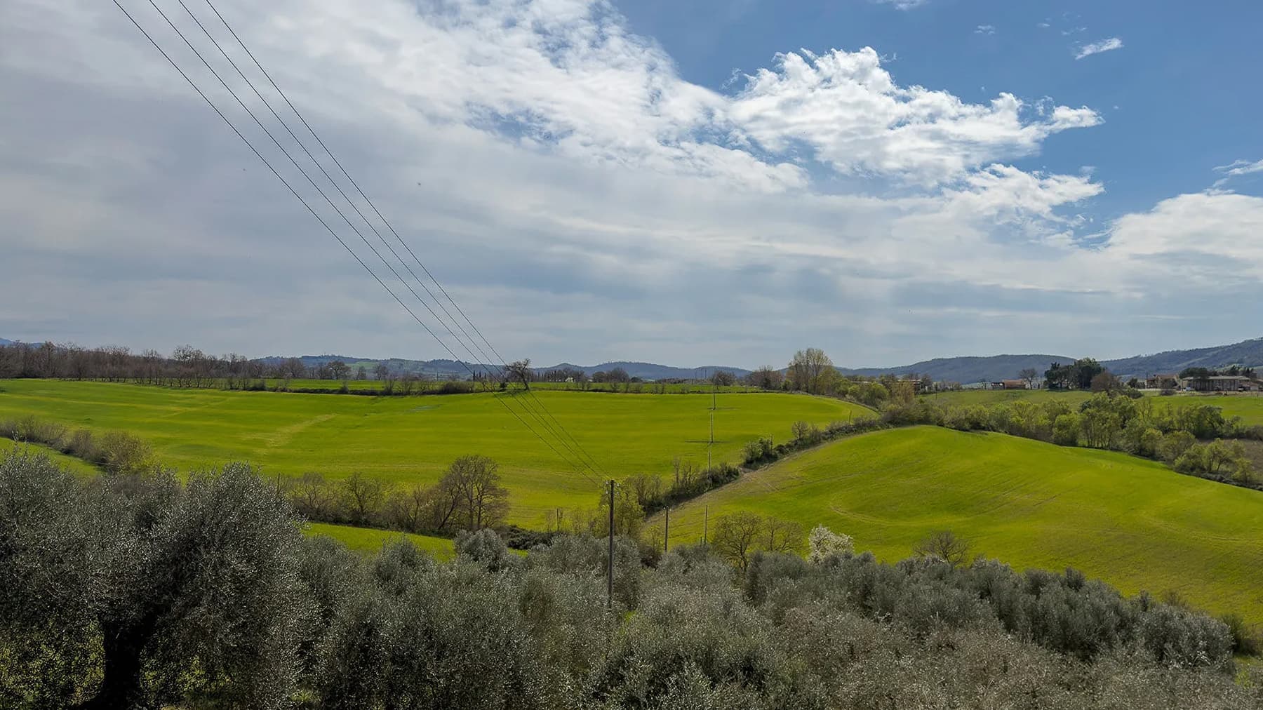 Spacious Estate-Complex in Cinigiano, Tuscany