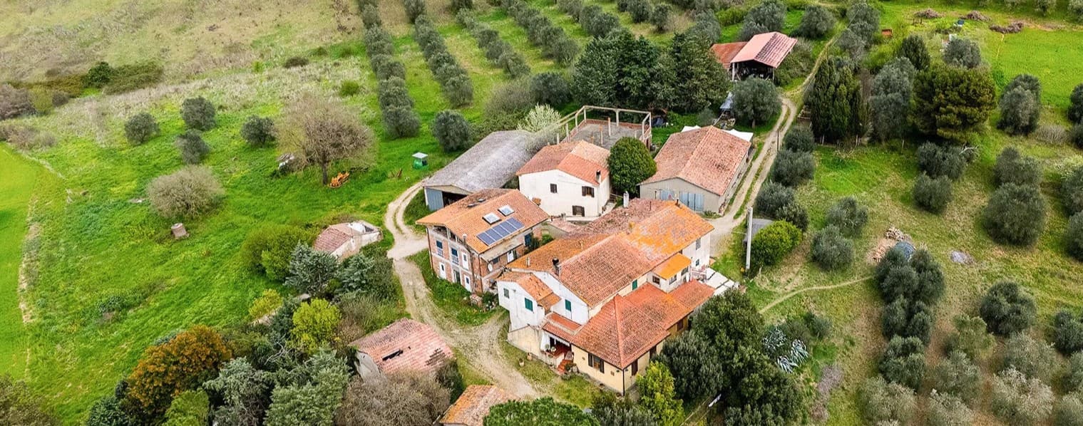 Spacious Estate-Complex in Cinigiano, Tuscany
