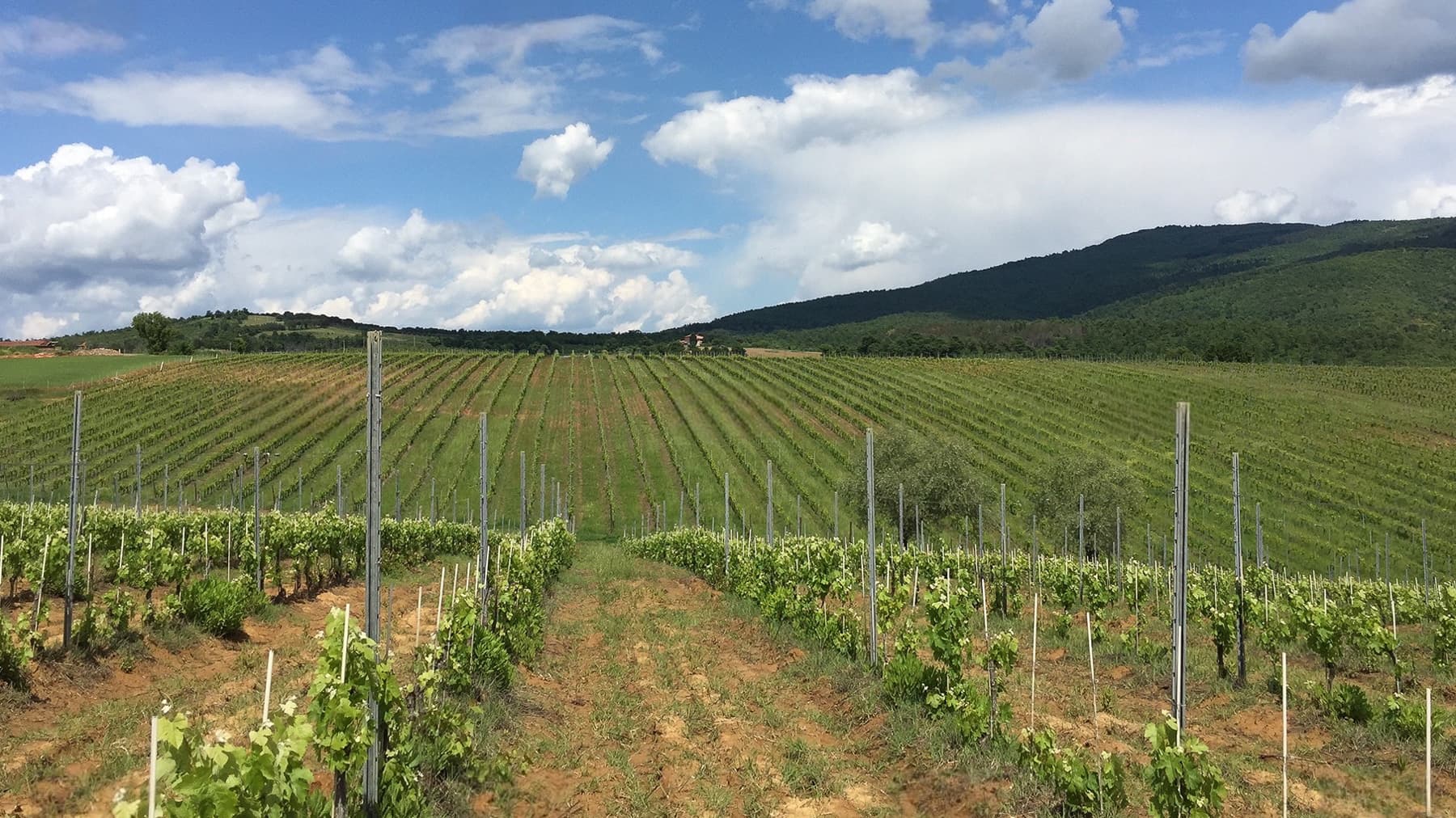 Tenuta-Complesso a Monteleone d'Orvieto, cuore Umbria