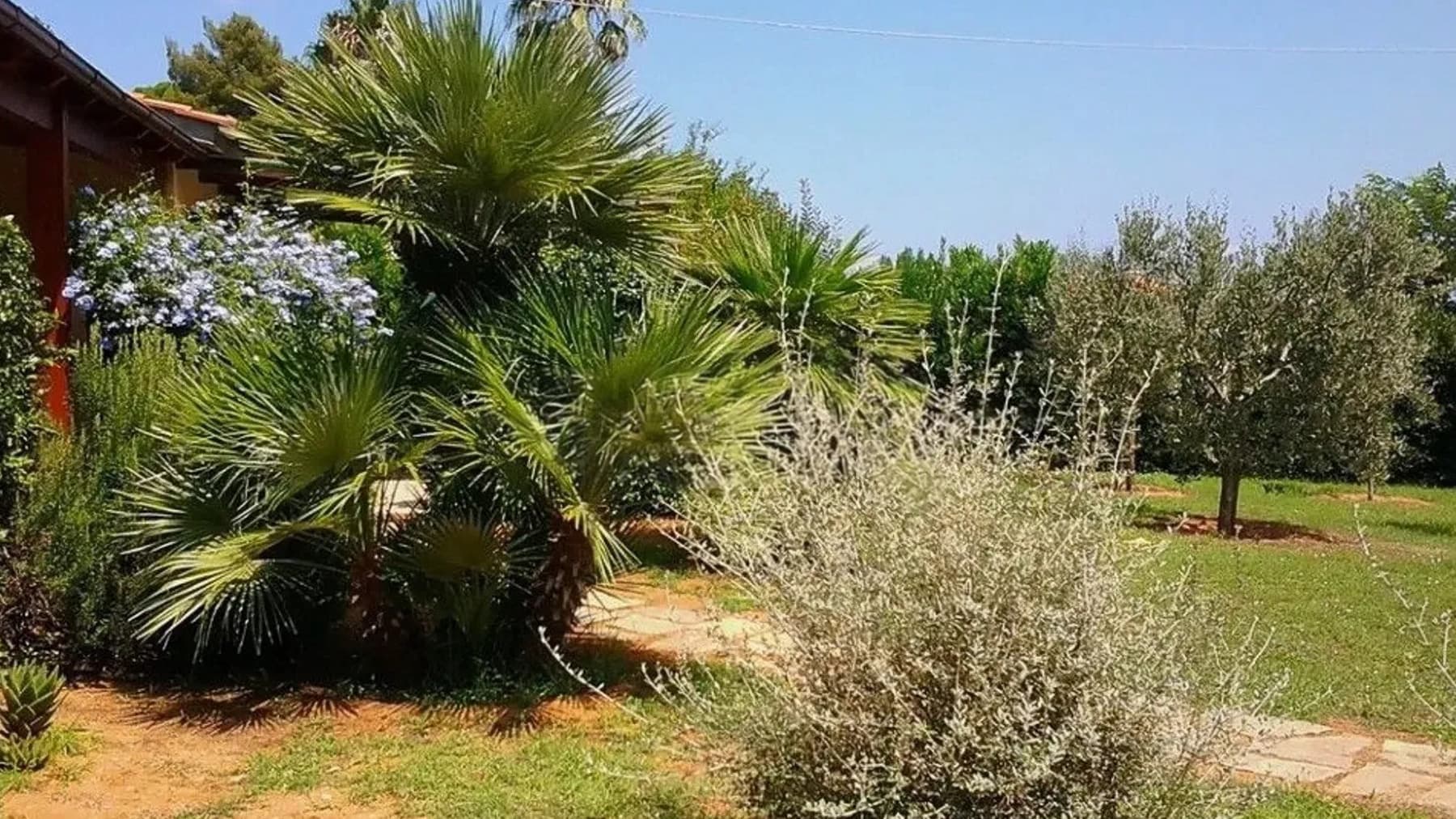 Rustic Country House in Capoliveri, Tuscany