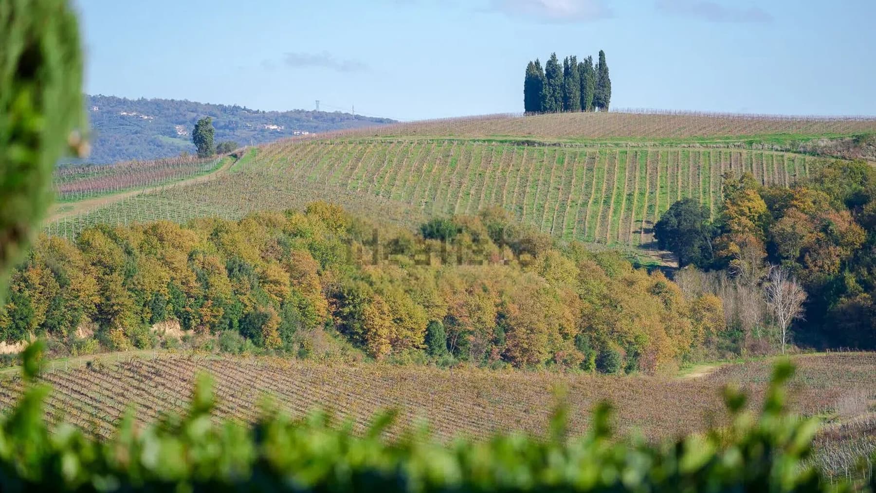 Casa indipendente nel cuore delle colline di Vinci