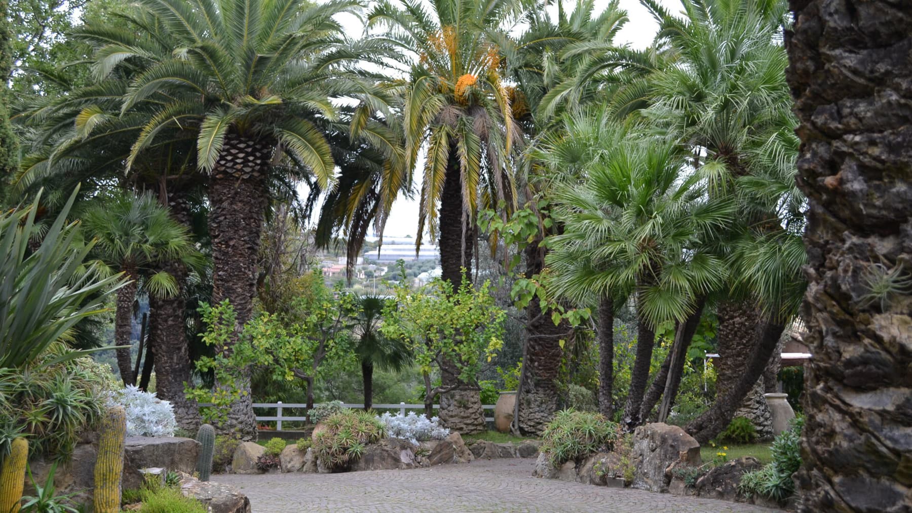 Villa panoramica con parco a Sanremo