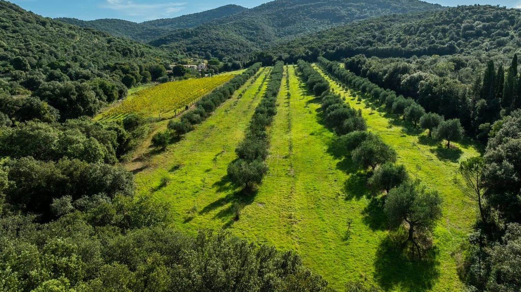 Rustic Country House in Roccastrada, Tuscany