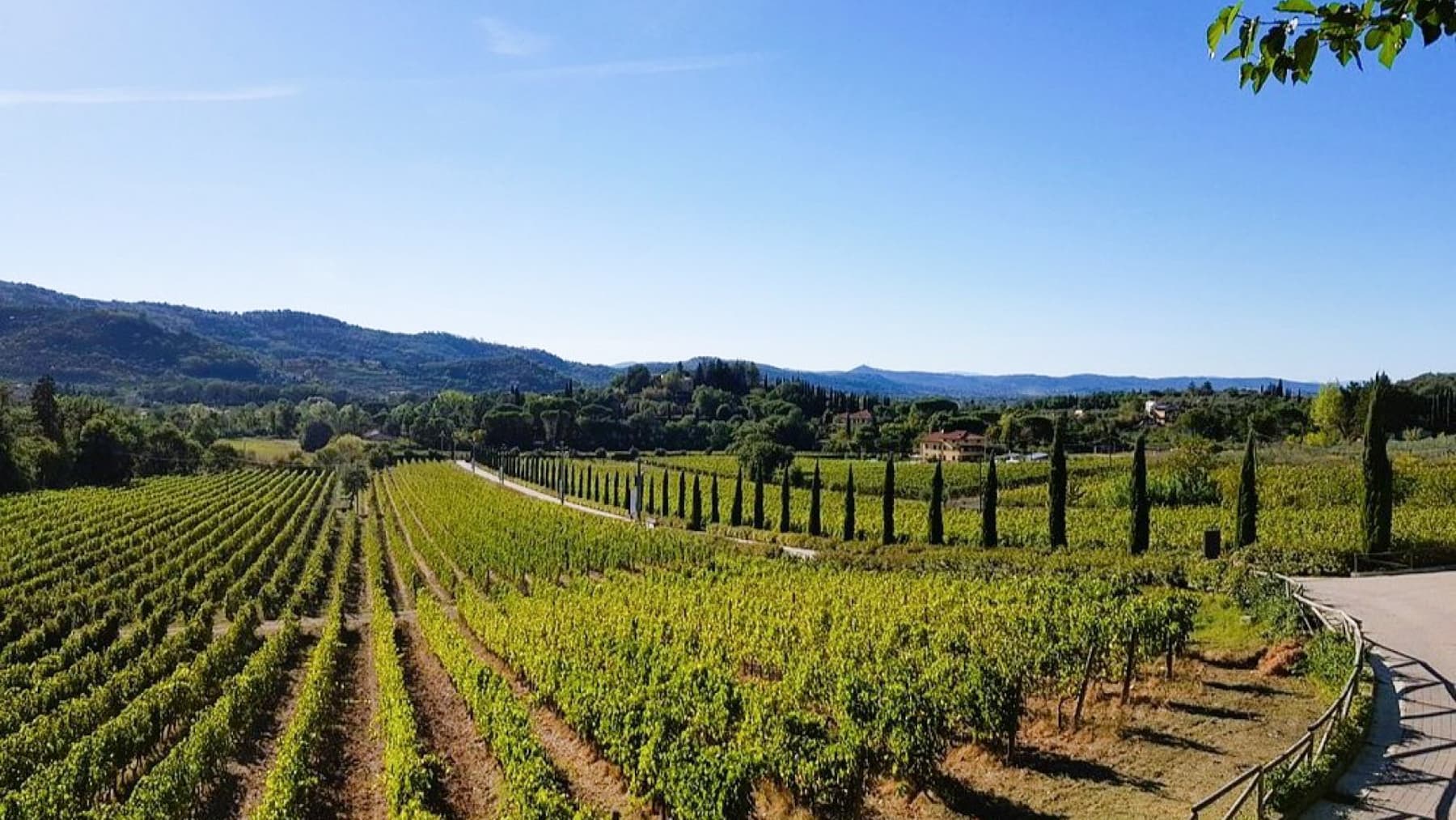 Charming Farm in Arezzo, Tuscany