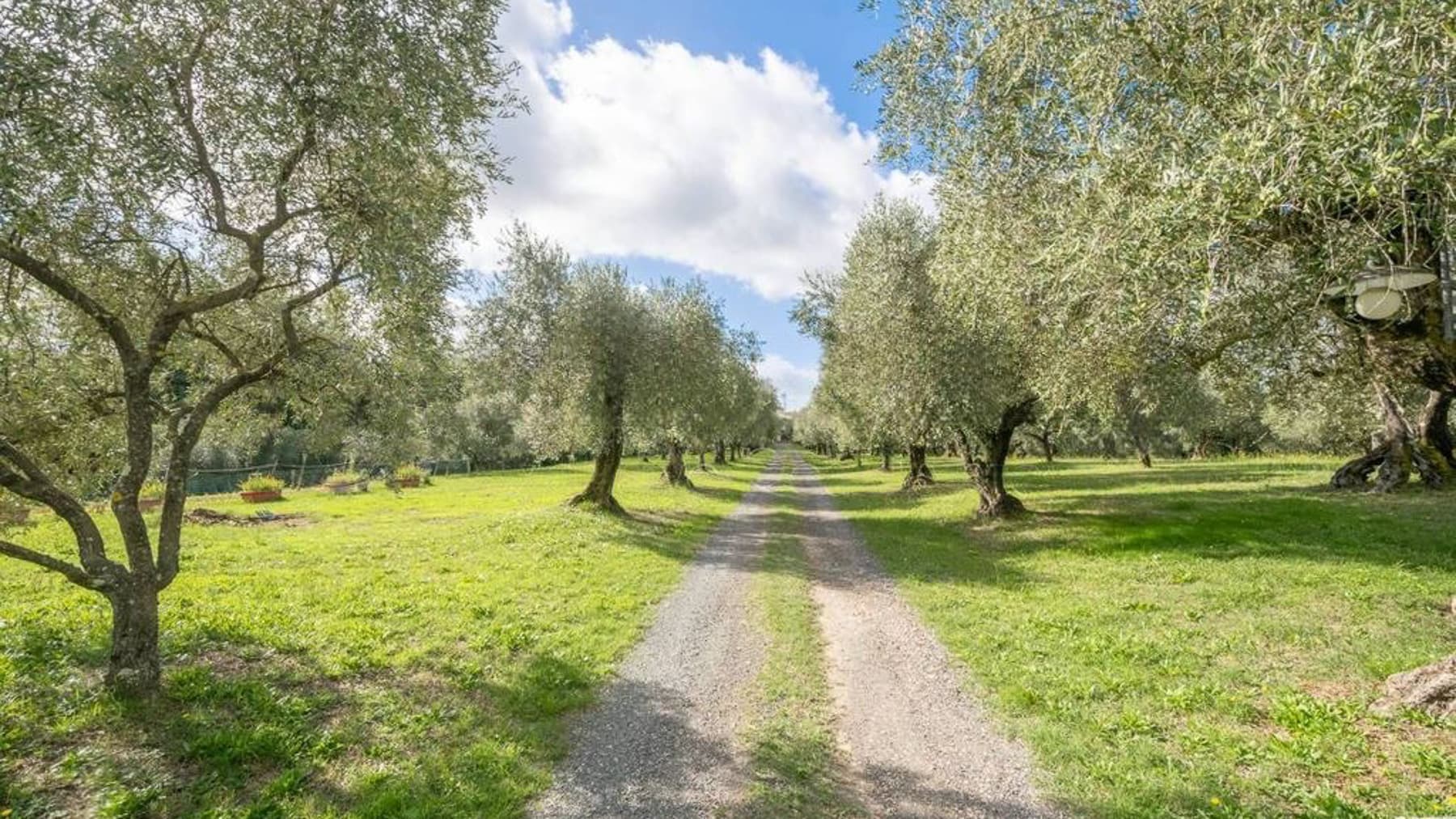 Villa storica con piscina a Collesalvetti, Toscana
