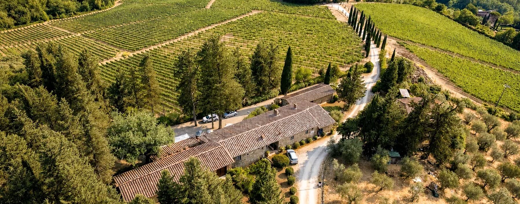 Agriturismo nel cuore del Chianti, Castellina in Chianti
