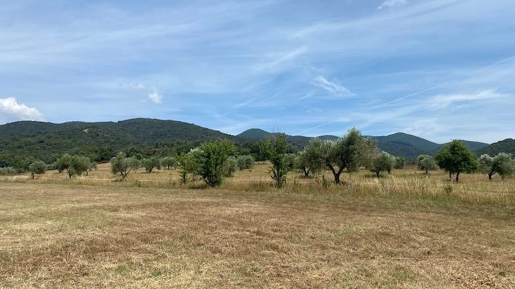 Agriturismo a Scarlino, nel cuore della Toscana