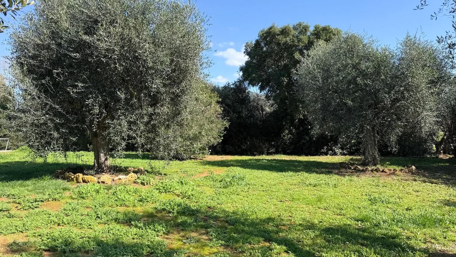 Charming Villa in Capalbio, Tuscany