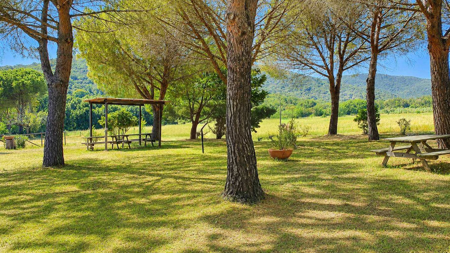 Rustic Country House in Scenic Scarlino, Tuscany