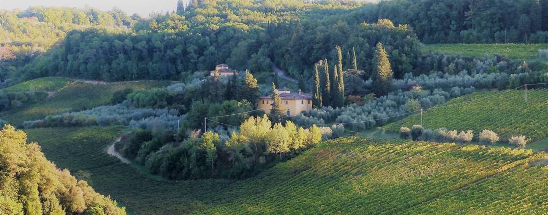 Azienda Agricola in Chianti, San Casciano in Val di Pesa