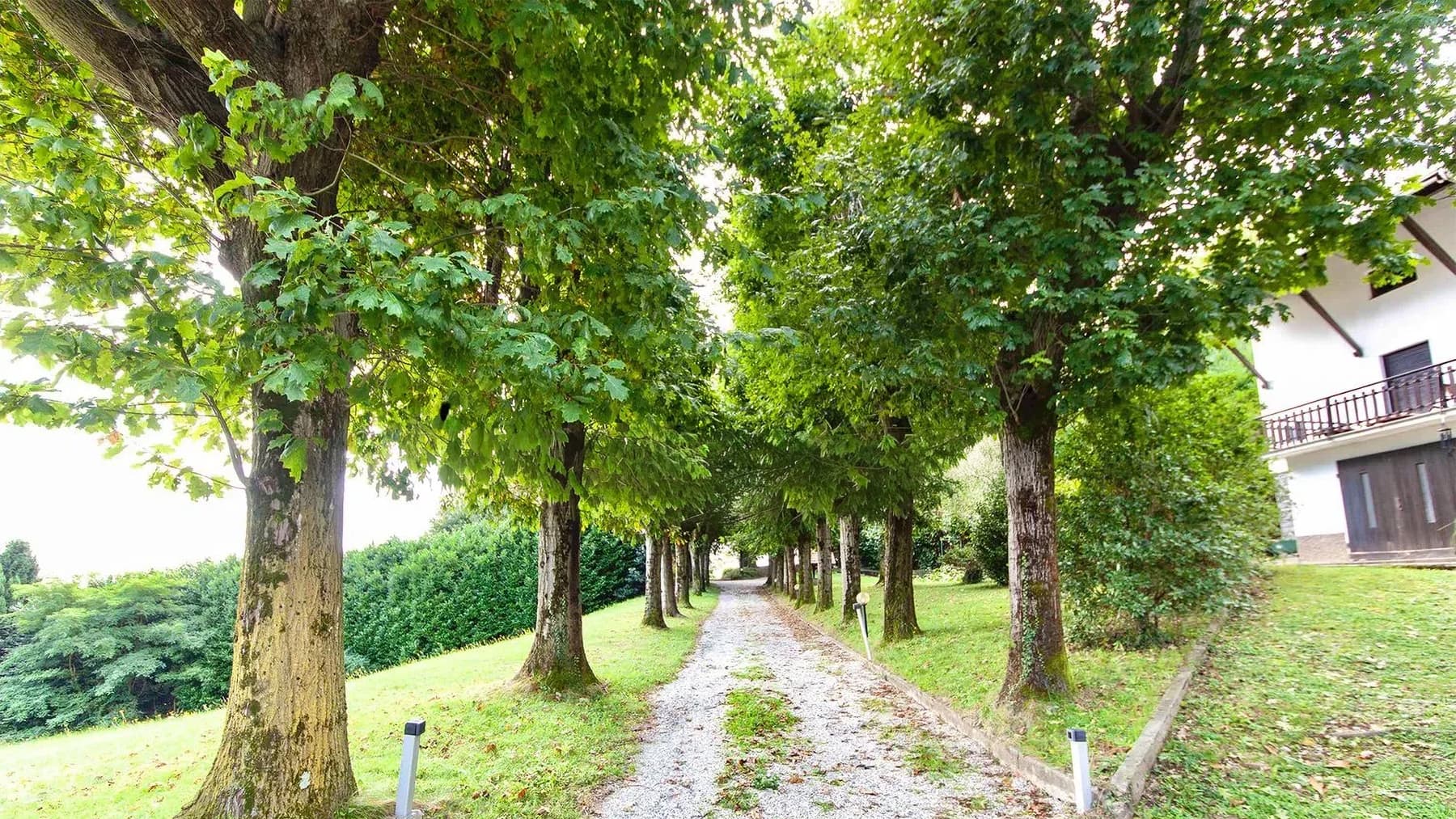 Villa Tudor con Parco sul Lago Maggiore a Dagnente