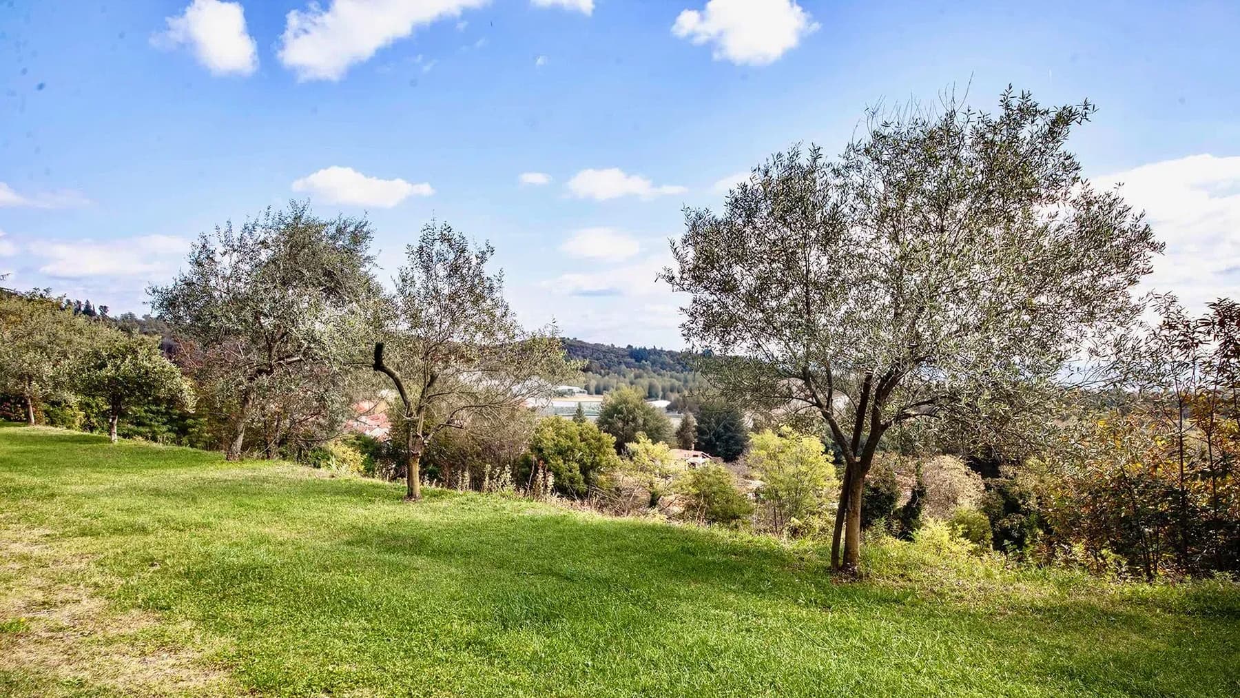 Villa Tudor con Parco sul Lago Maggiore a Dagnente