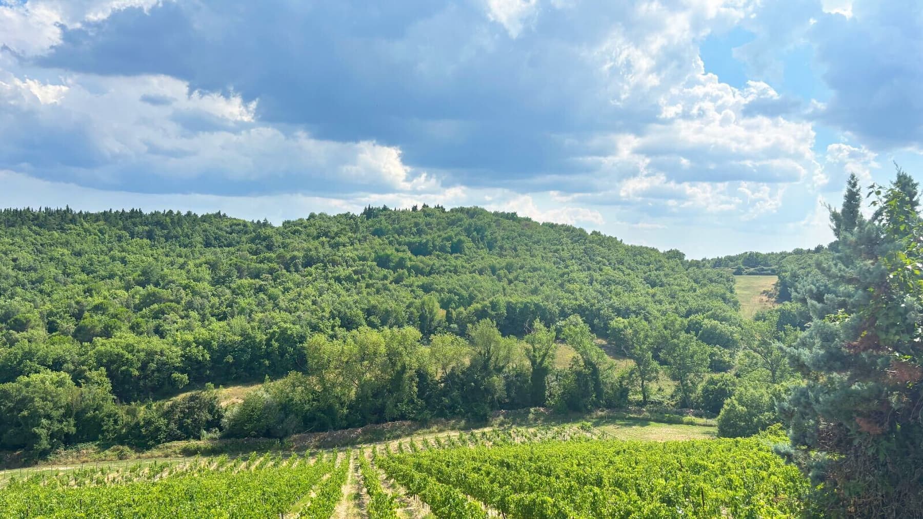 Medieval Farm Hotel in Castellina, Tuscany