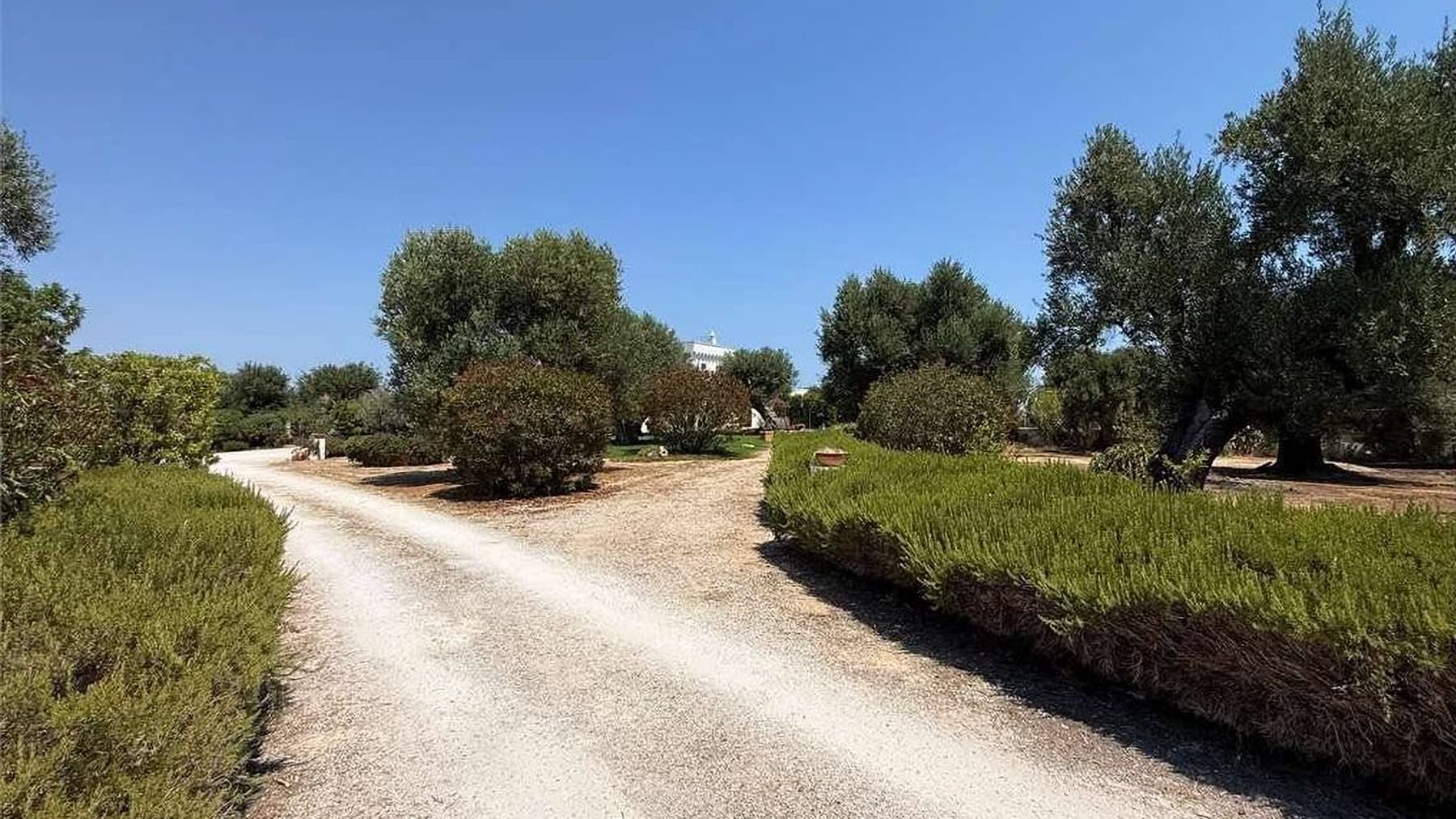 Rustic Country House in Charming Fasano, Puglia