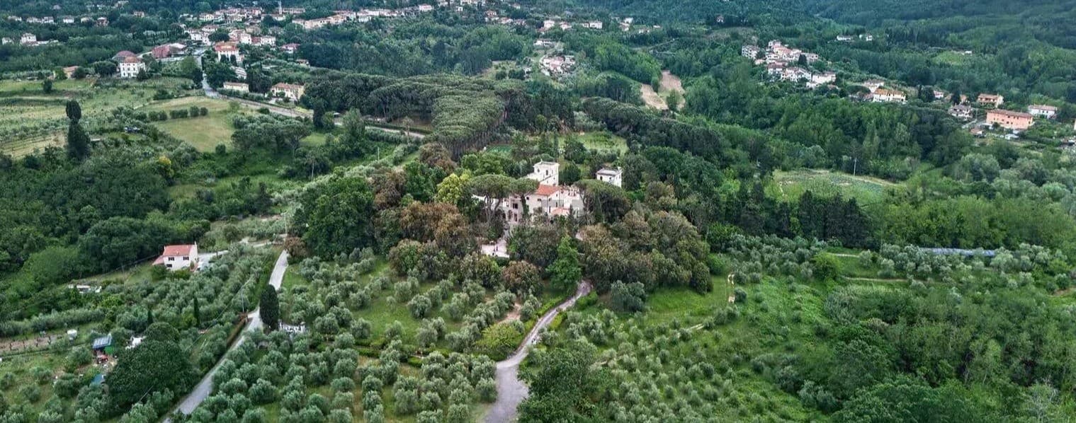 Charming Villa in Fauglia, Tuscany