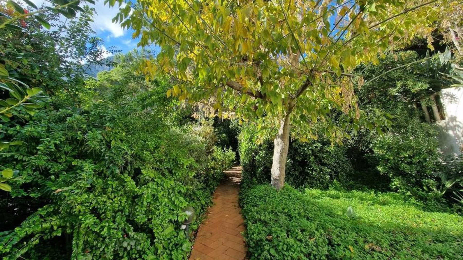 Appartamento con giardino a Capri, Isola di Capri