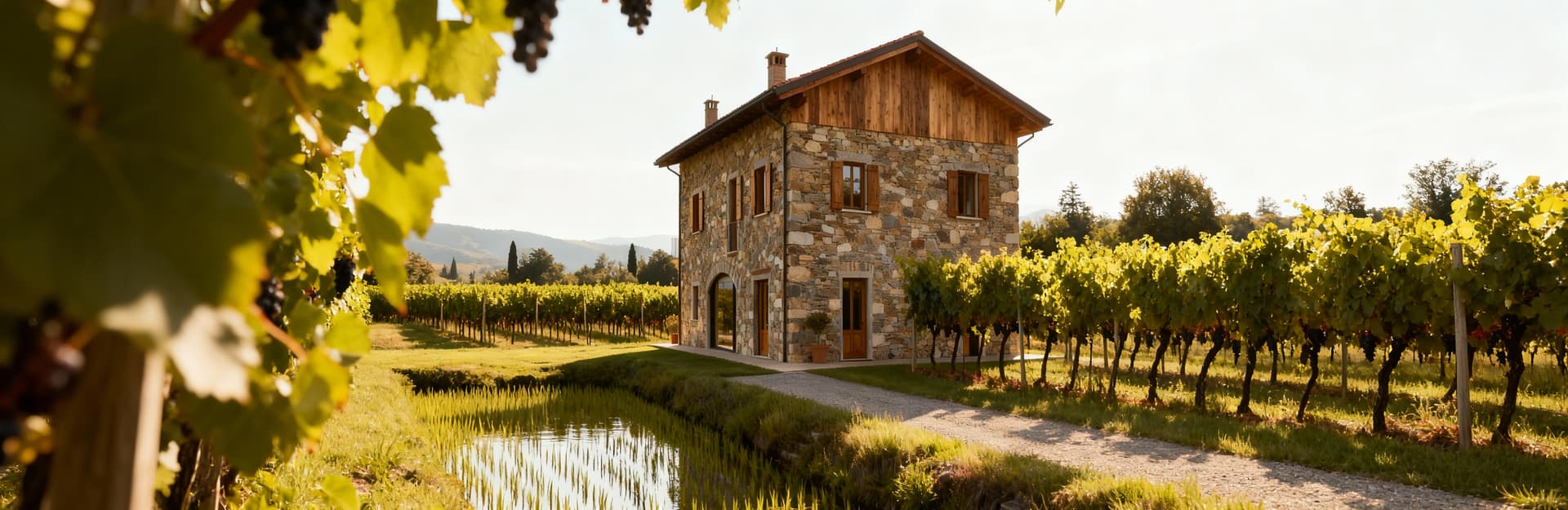 Countryside properties for sale in Alessandria, surrounded by Monferrato hills and rice paddies, perfect for nature lovers.