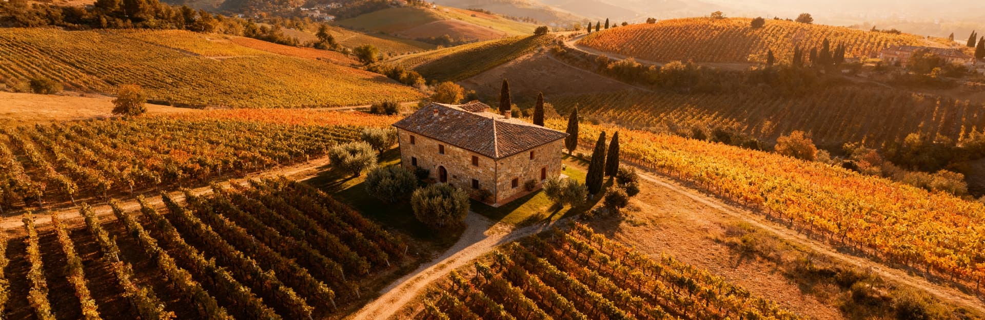 Rustic country homes for sale in Tuscany's Chianti, showcasing stunning landscapes, vineyards, and historic architecture.