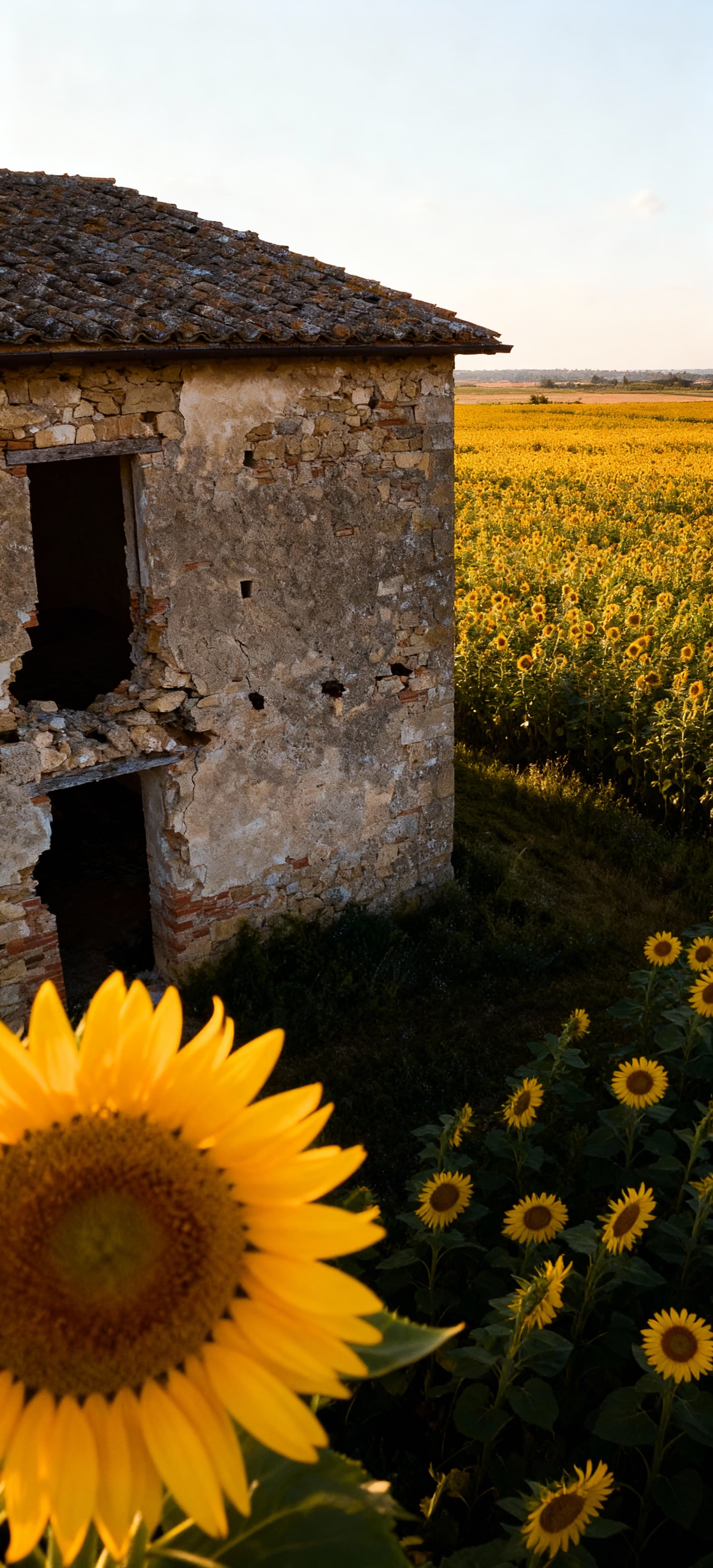 Siena Tuscany countryside apartments for sale, featuring lush hills, vineyards, and historic architecture near the city center.