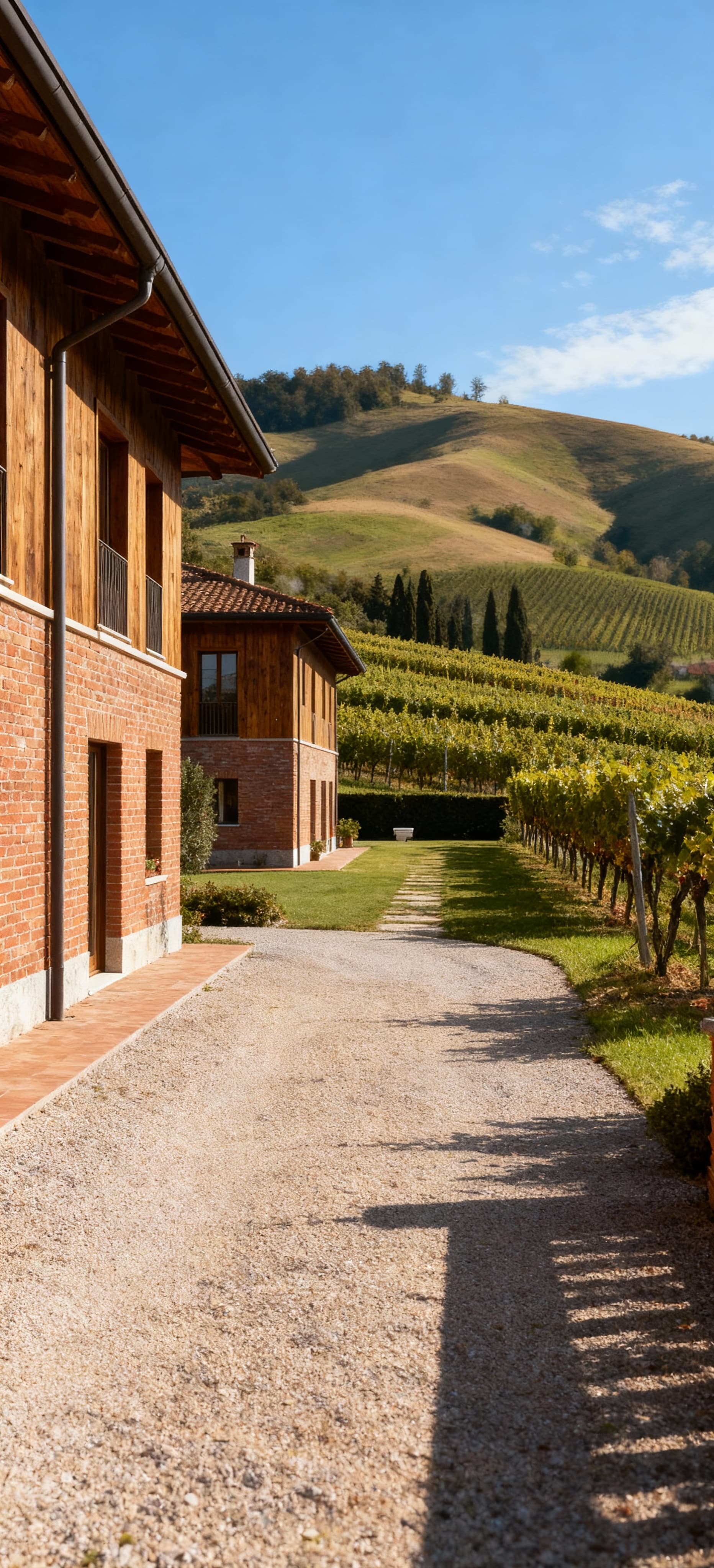 Luxury properties for sale in Novara's city area, showcasing elegant villas and vineyards in stunning natural landscapes.