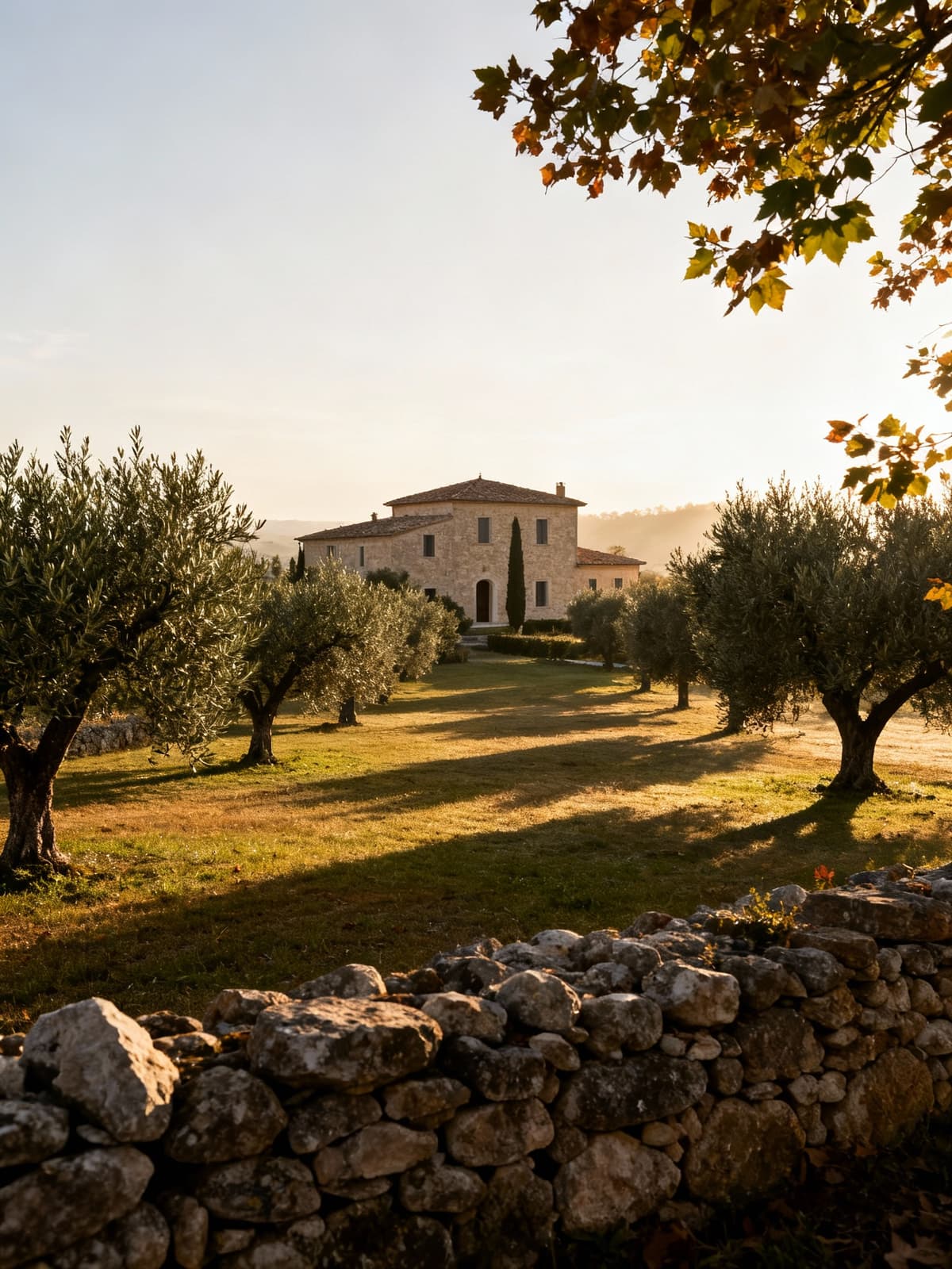 Villa di lusso nella campagna ragusana, immersa in uliveti e muretti a secco, illuminata dalla dolce luce del mattino.